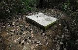 1951年7个老农刨开戴笠墓，开棺后发现有烧焦的残骨、一把九龙剑
