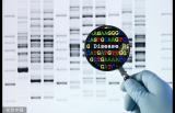 常见PGT基因检测技术，检测的多种单基因疾病！