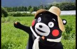 吉祥物带你畅游一夏，决战平安京熊本熊联动玩法一览