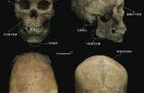 以骨释人，寻骨觅踪：2021年人类骨骼考古盘点