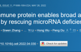 《细胞》：北京大学团队发现，一种水稻蛋白能激发广谱抗癌效应！