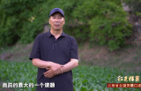 云南省全国劳模口述历史丨提布：做科技兴农的带头人